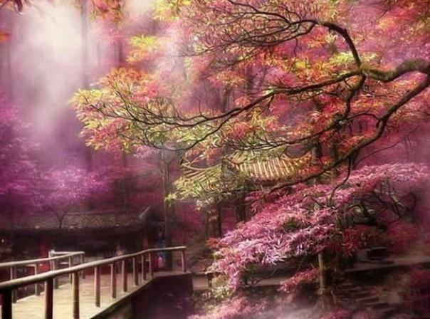 组装机械章鱼龙